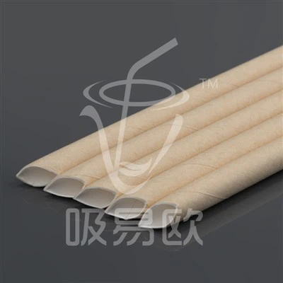 Biodegradable Drinking Paper Straw